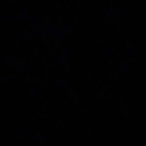 Meet your Posher, Alexus